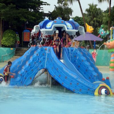 Good price Octopus Shape Water Play Slide Multi Channel For Aqua Park online